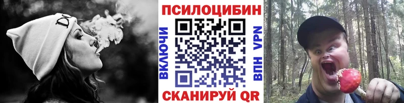 Галлюциногенные грибы MAGIC MUSHROOMS  сколько стоит  Фролово 