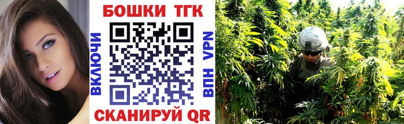 Бошки Шишки план Фролово